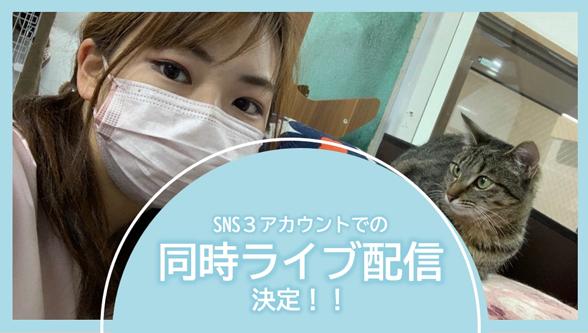 SNS３アカウントでの同時ライブ配信決定！！質問にもお答えします♪