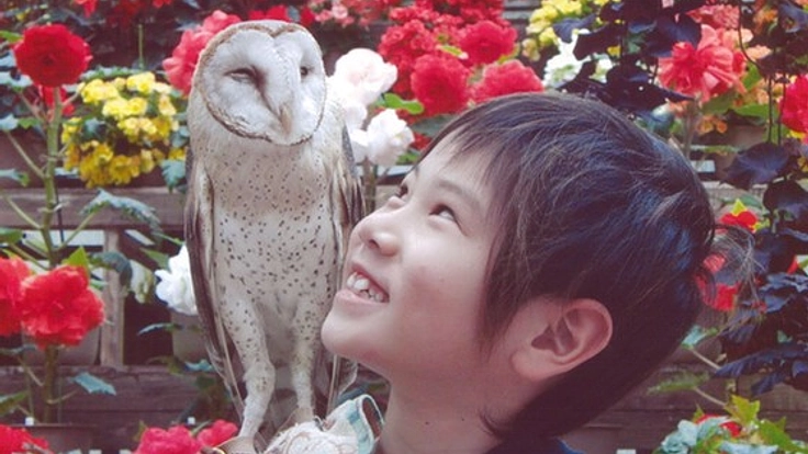 静岡県 富士花鳥園 南の鳥ふれあいエリア復活プロジェクト始動！