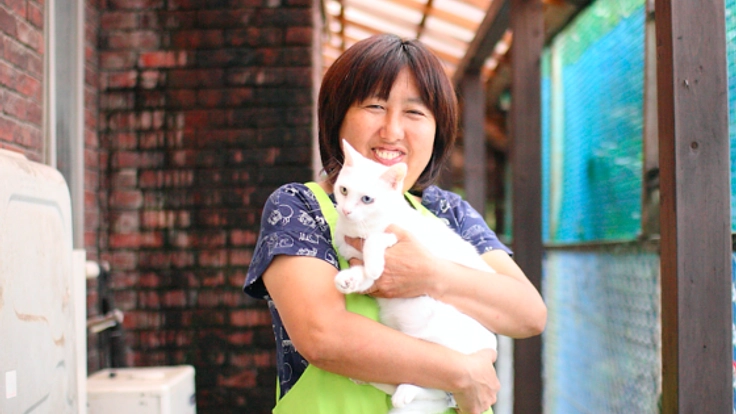 100匹の猫ちゃんと暮らす秩父の温泉宿に譲渡施設をつくりたい！