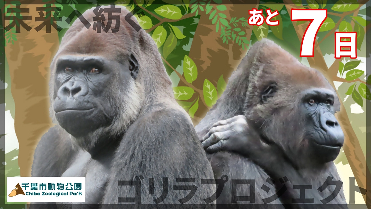 終了まであと1週間！最終目標1,900万円達成に向けて