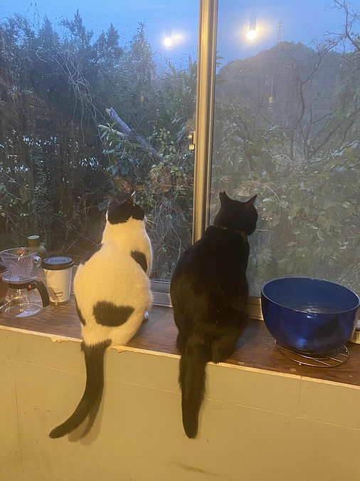 10/6(土)の忘れられない話