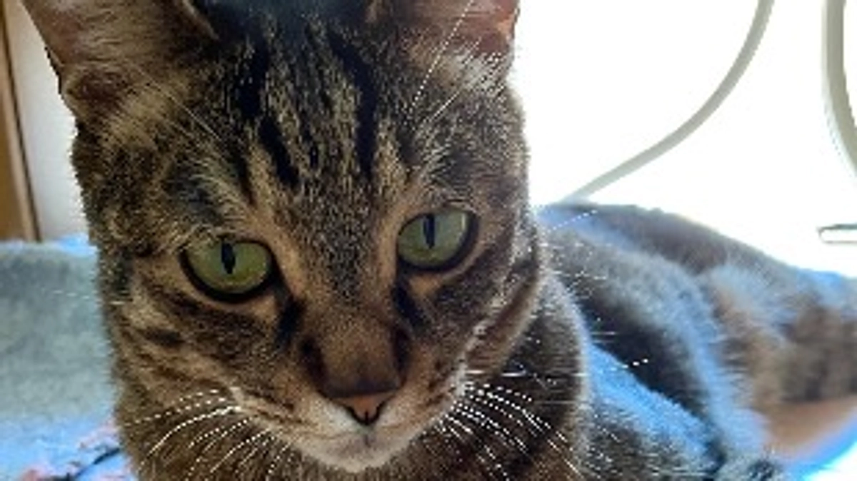 【今日のなっちゃん】5月25日