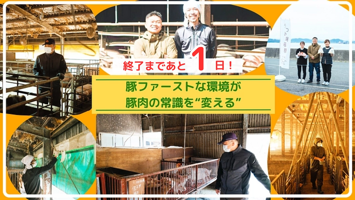 【終了まであと1日】ついに達成まで100万円を切りました！本日は応援メッセージのご紹介です。