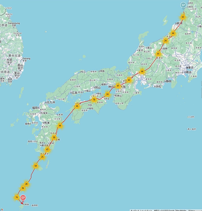 【速報】サシバの渡り報告　10月4日