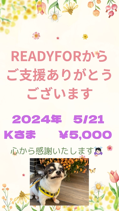 ご支援ありがとうございました🙇🏻‍♀️