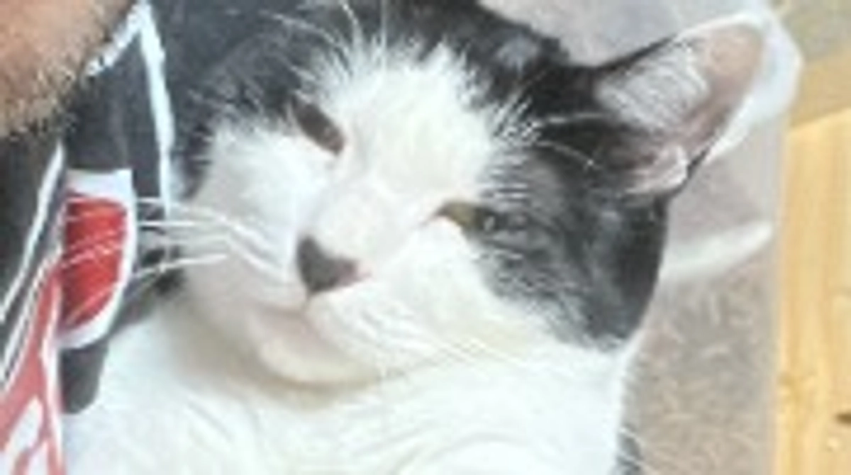 新居に慣れた朝陽、やっと抱っこに来る