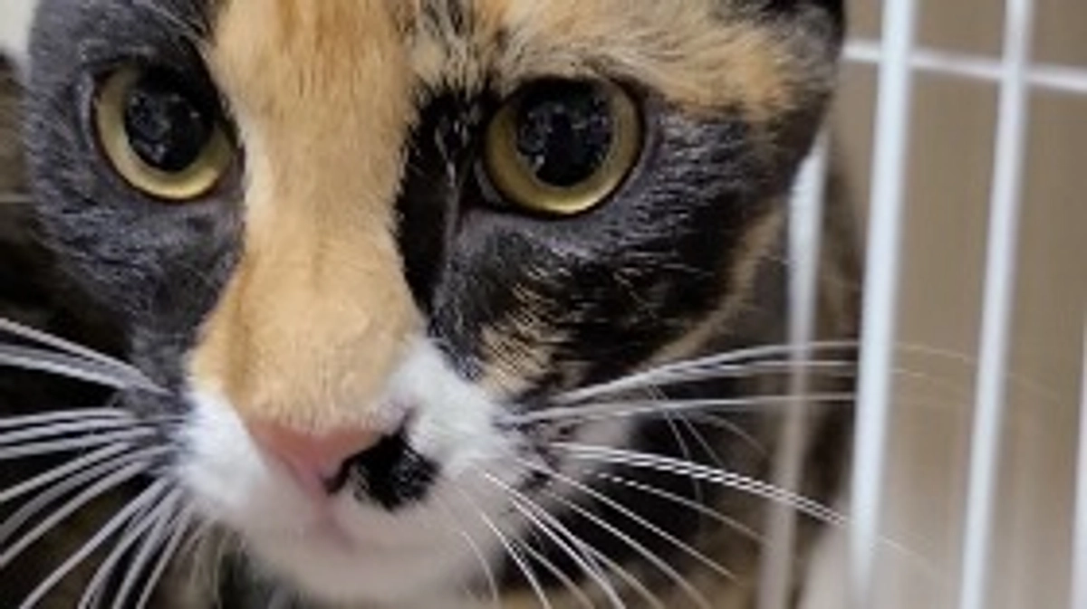 あと6500円で50%達成です！