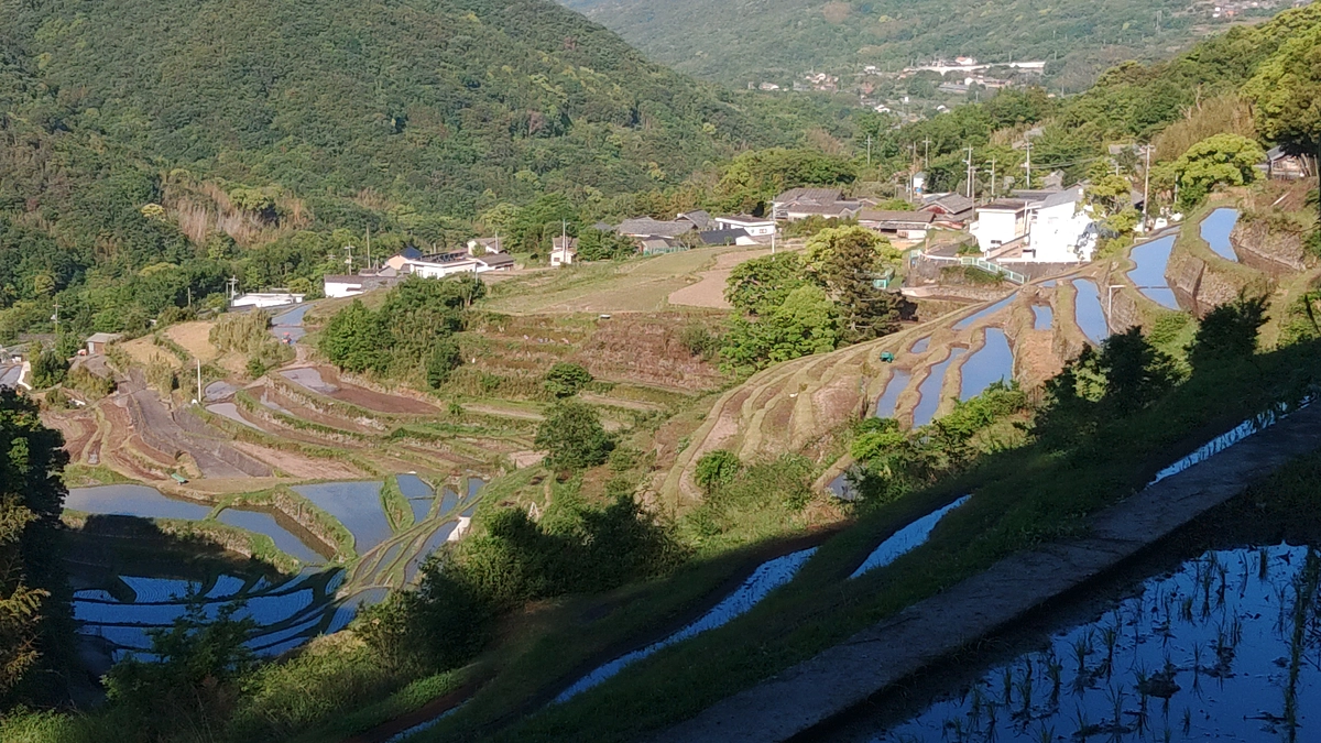 本年の虫送りと奉納歌舞伎について