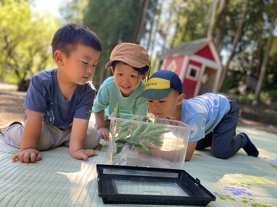 【森のお便り9月号】　森にも秋の気配