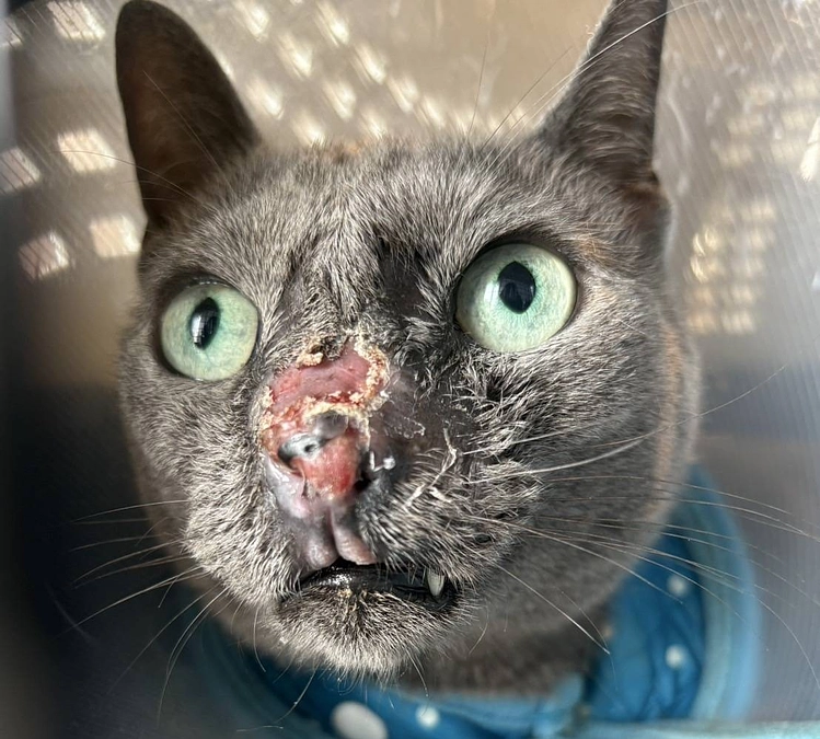 今日は放射線治療を受けた病院に連絡をとり行ってきました。