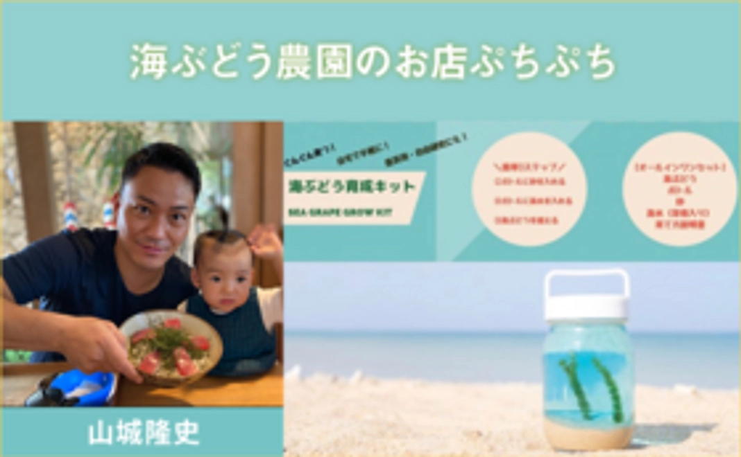 海ぶどう育成キット