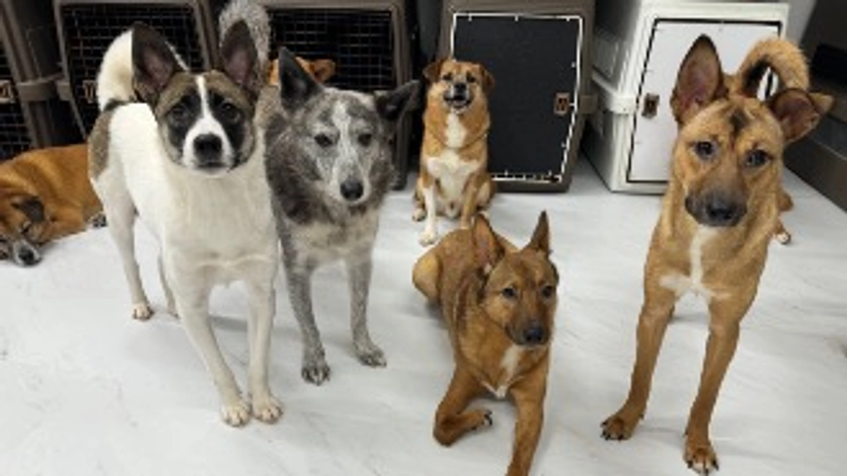 ご支援いただいた皆様へ