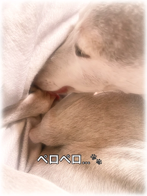 10月に入りました🍂