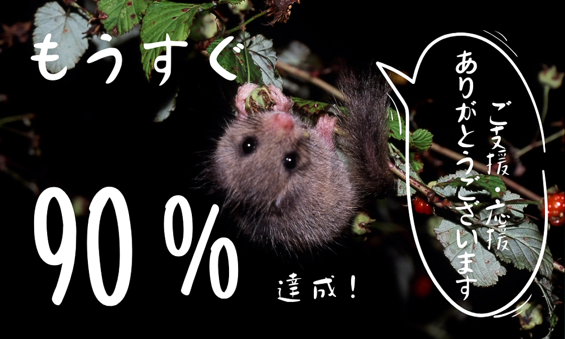 【もうすぐ90%！】フィールドソサイエティー代表久山喜久雄様からの応援メッセージをいただきました！