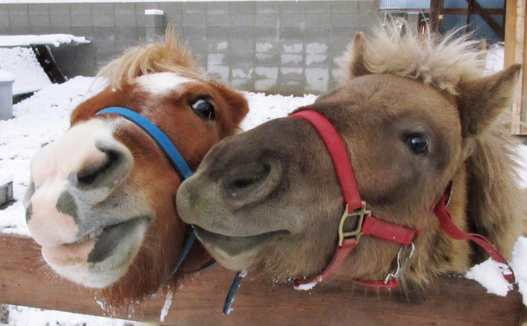 【リターン不要の方向け】全力応援コース｜3,000円