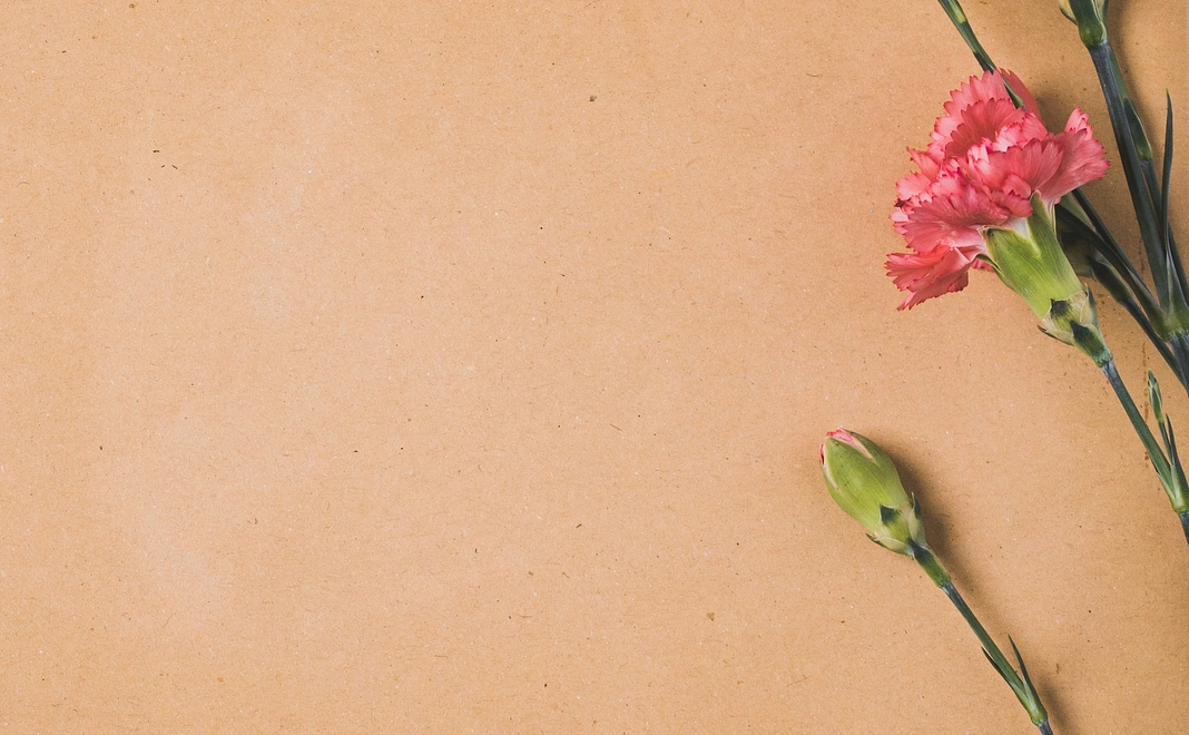 シンプル応援プラン【3,000円】