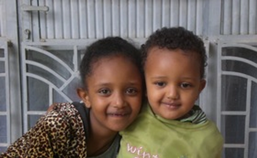 感謝のメールと簡易単眼顕微鏡