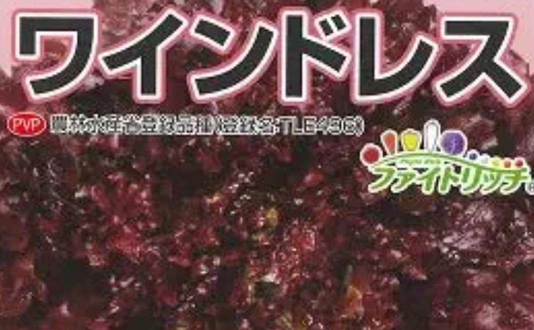 私たちの緑の夢を応援し、ペレット化されたレタスの種子を手にしよう！