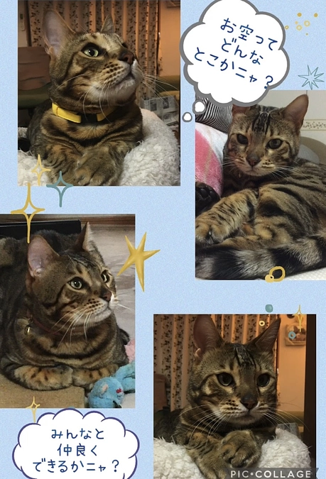 四十九日です🌈