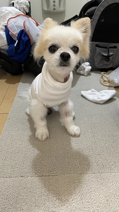 福岡のお家に帰ってきました