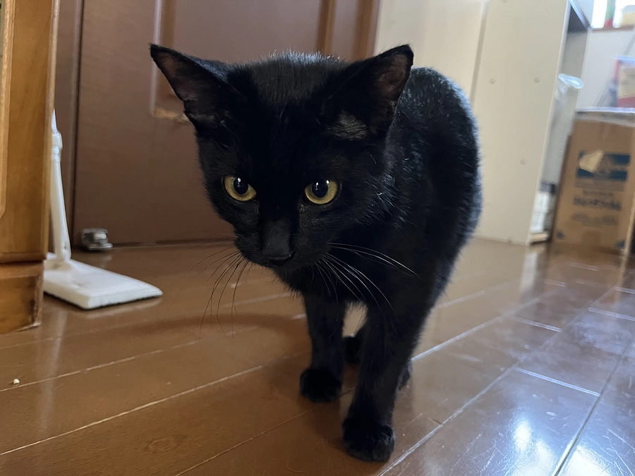 2回目のワクチン接種！