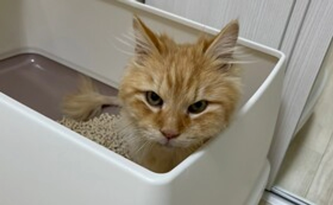 クルス Happy 1,000円コース