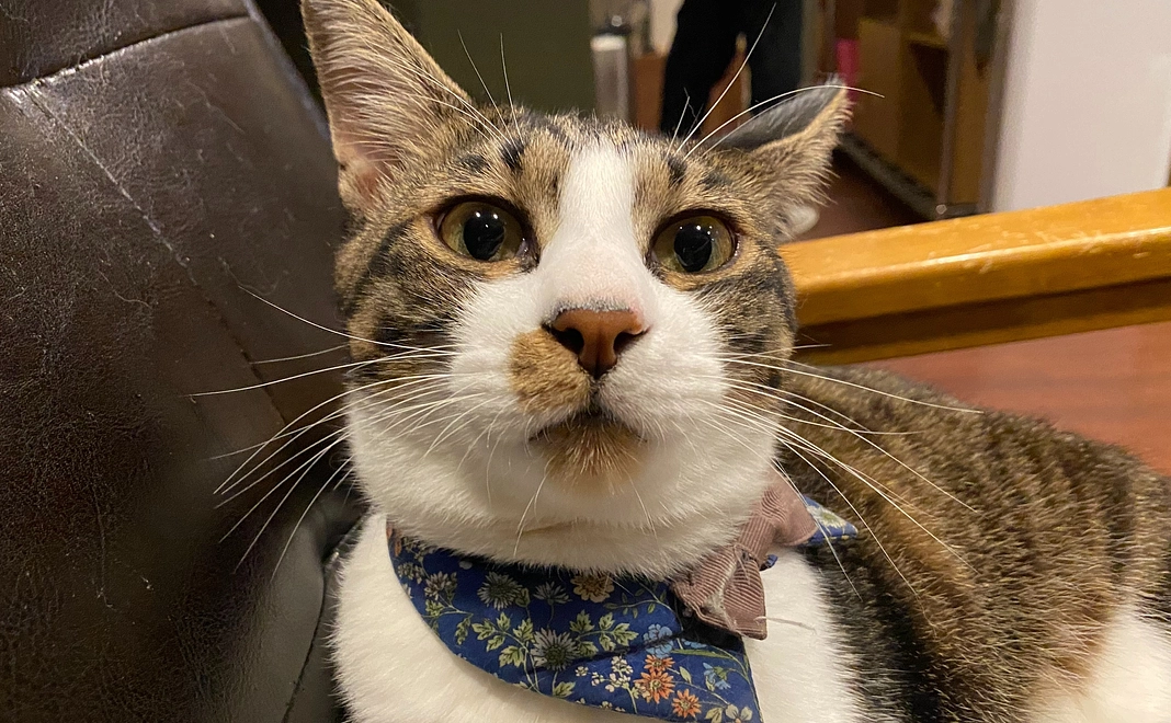 リターンご不要な方向け:1口5000円応援コース!