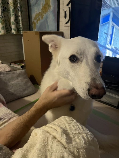 明日21時よりインスタLIVEします！！