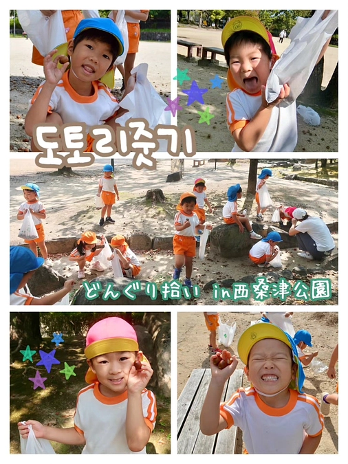 ☆幼稚班☆ ～どんぐり拾い～