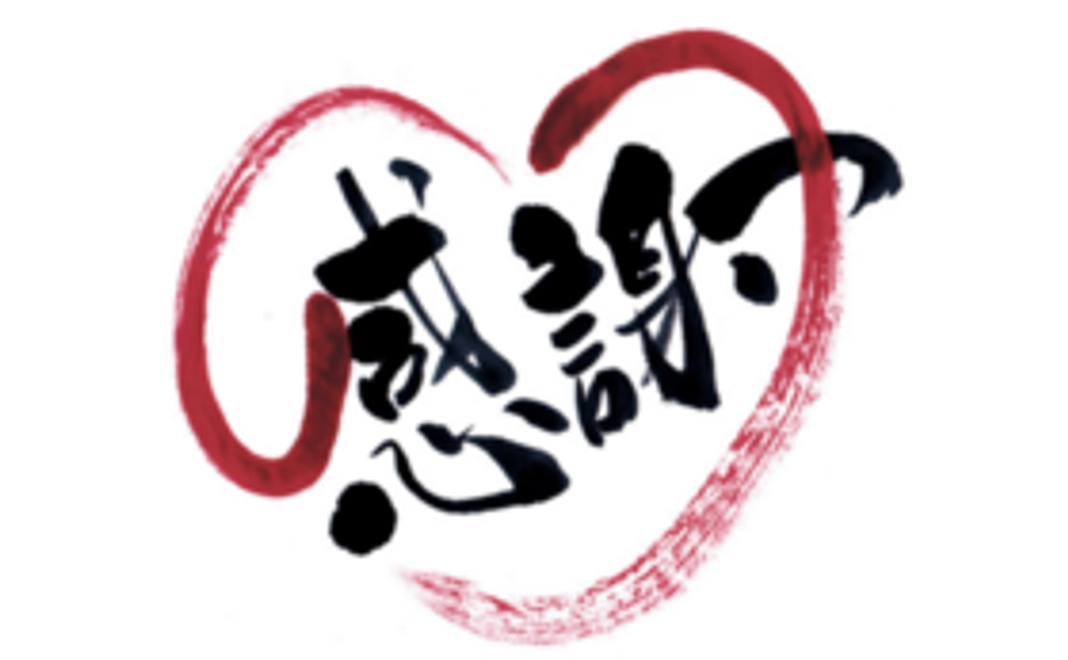 【本気で応援コース】