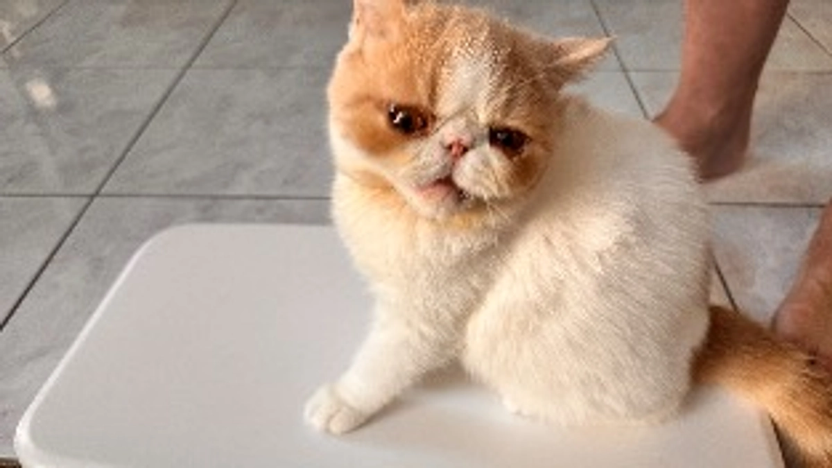 今日からAugust🌙