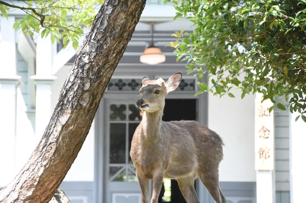 支援額が50％に達しました！