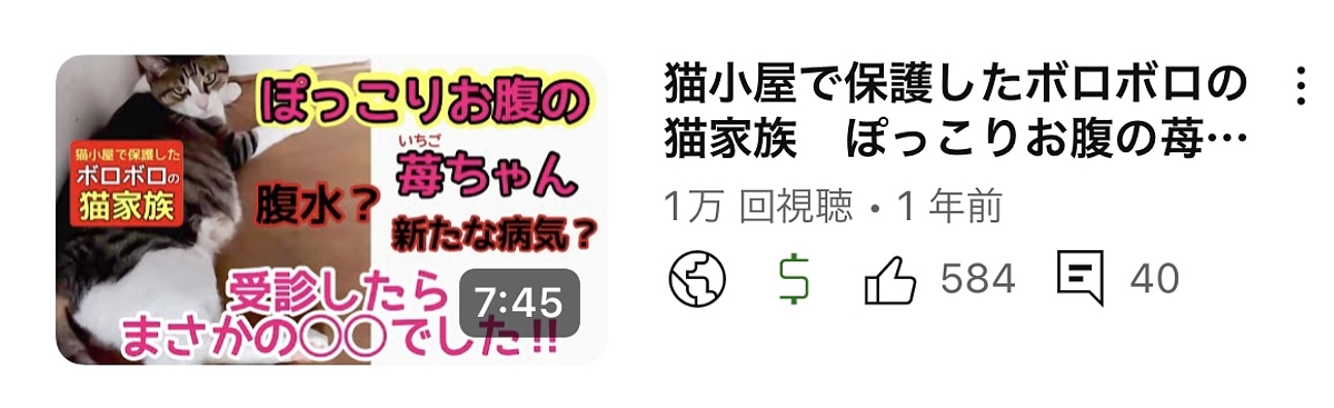 産後50日の母猫に異変が