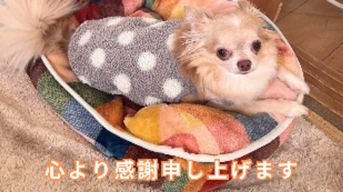 本当にありがとうございました🙇‍♀️