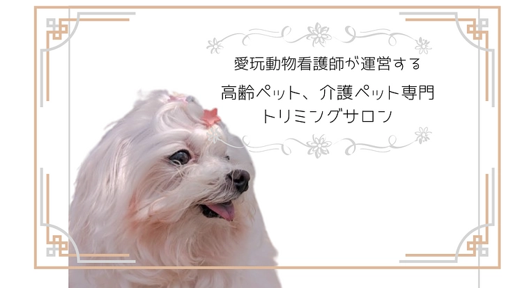 介護シニア専門のトリミングサロン 予約枠拡大のため内装工事費