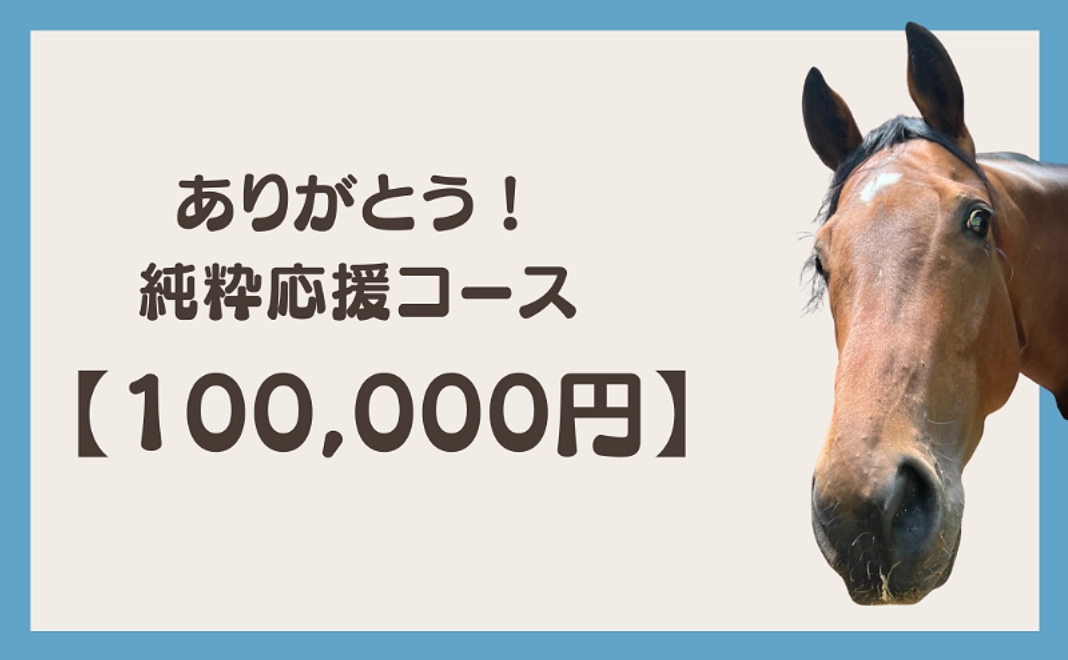ありがとう!純粋応援コース (100,000円)