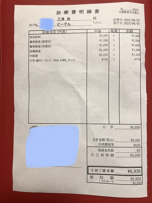 昨日から下痢をしています・・・