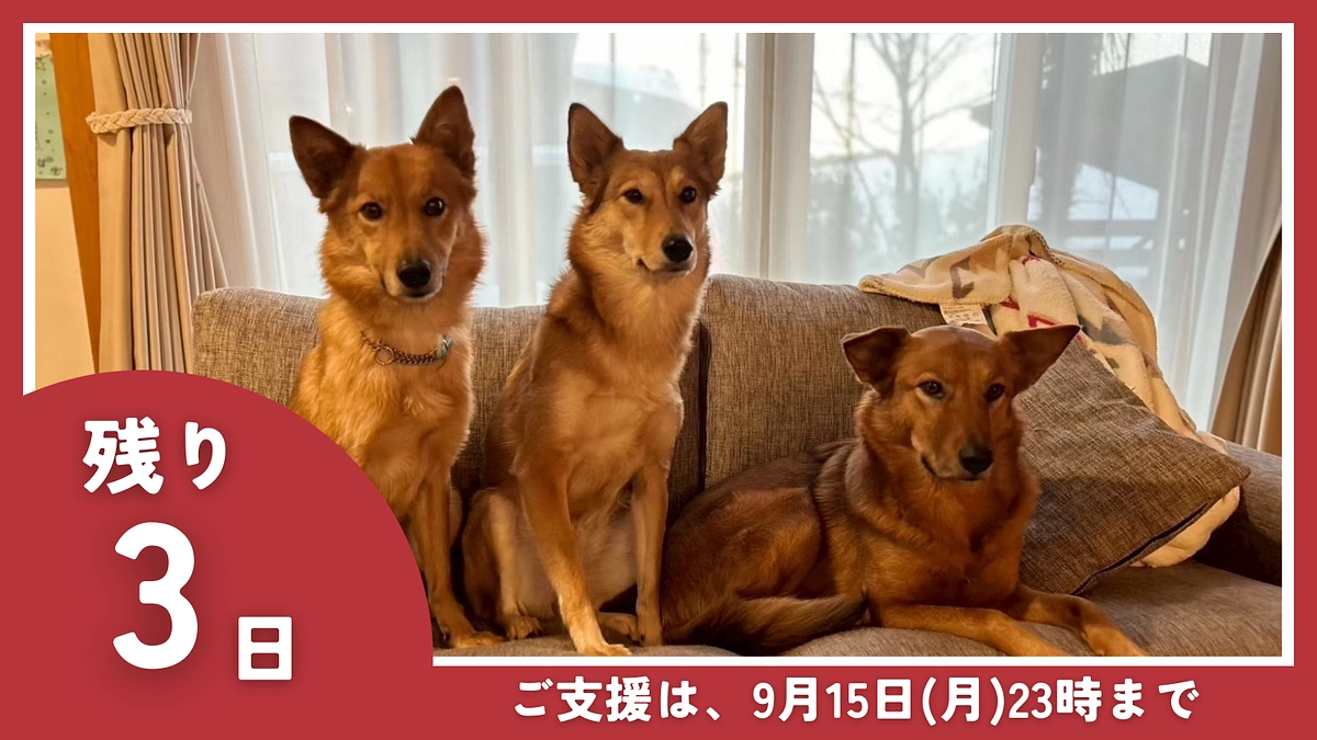 【残り2日】オーナー｜久保 杏里 様からの応援メッセージのご紹介です。