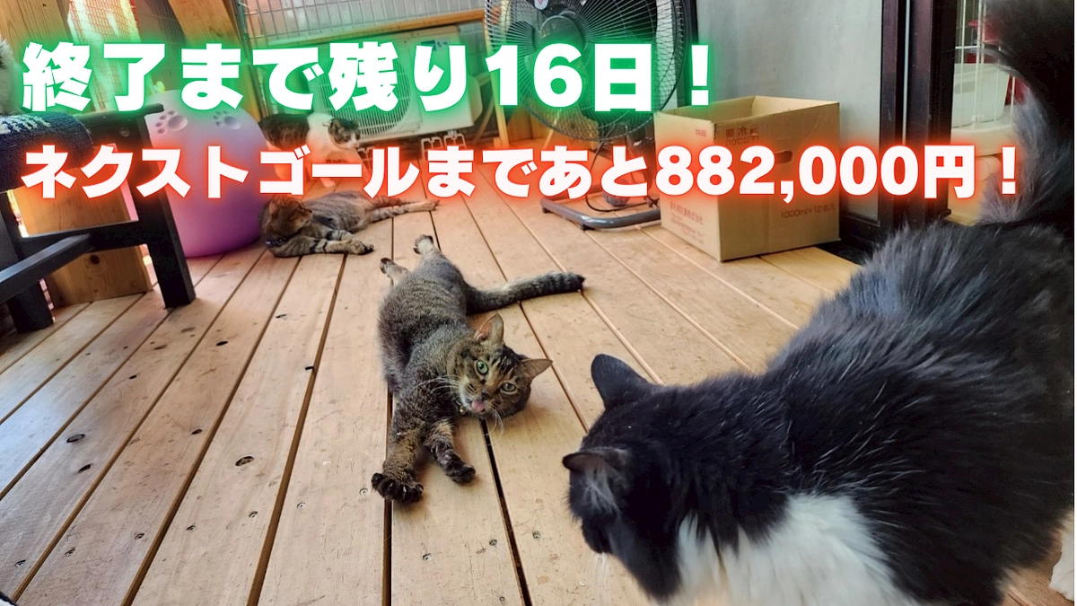 終了まで残り16日！ ネクストゴールまであと882,000円！ 〜チラシ配りを行いました〜