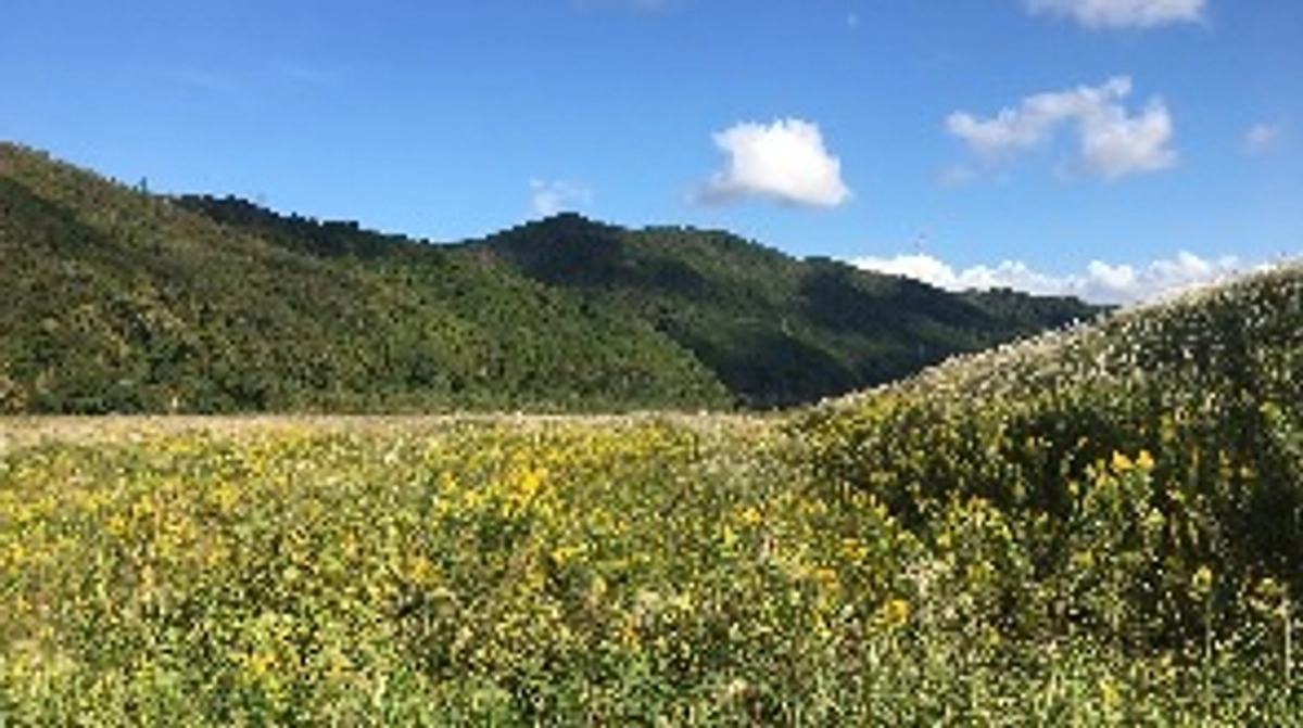 京都観光やサッカー観戦にも良い立地です。