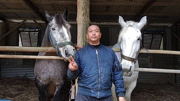 沖縄県国頭村の自然遺産を活かし、重種馬が活躍できる牧場を作りたい。 のトップ画像