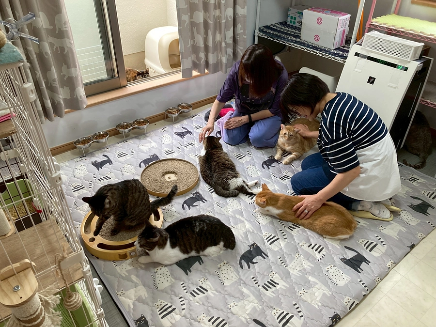 クラウドファンディング初日を終えたお礼＆感想