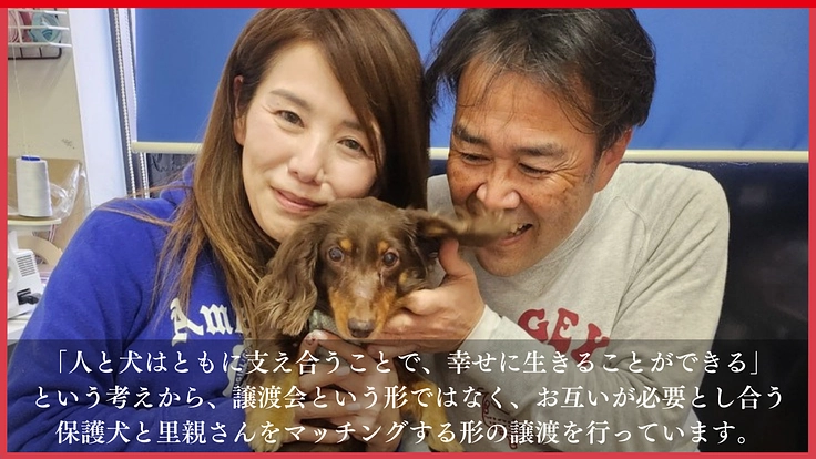 高齢犬も高齢者も排除せず、人と犬が共に幸せに生きられる未来をつくる 6枚目