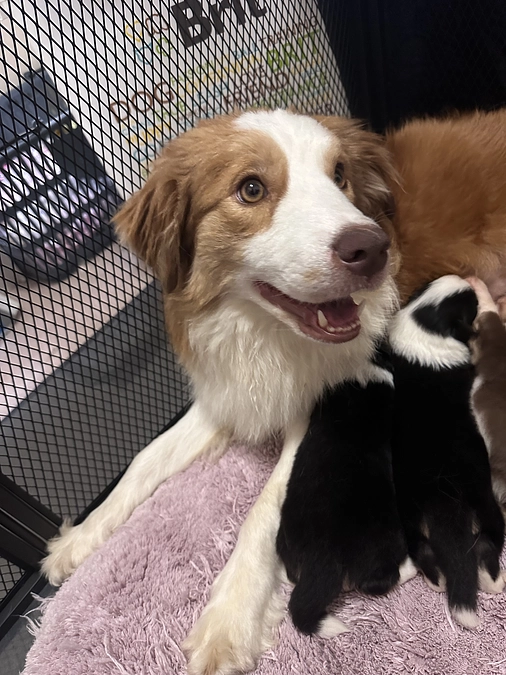 なんでクラウドファンディングなの？