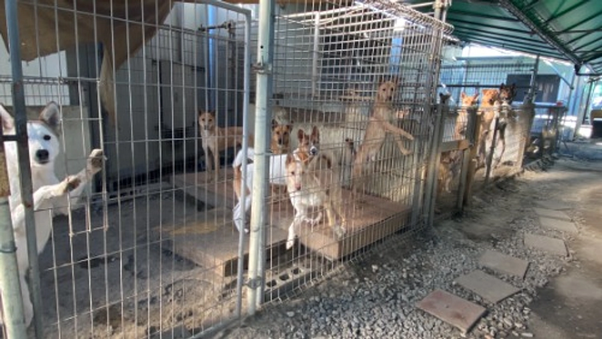 フリスペとは？