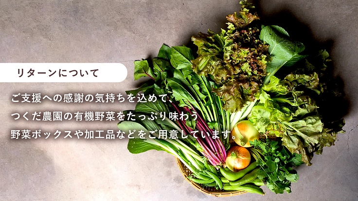 京都大原で野菜と人を育むつくだ農園｜古民家を有機農業の拠点、野庵へ 4枚目