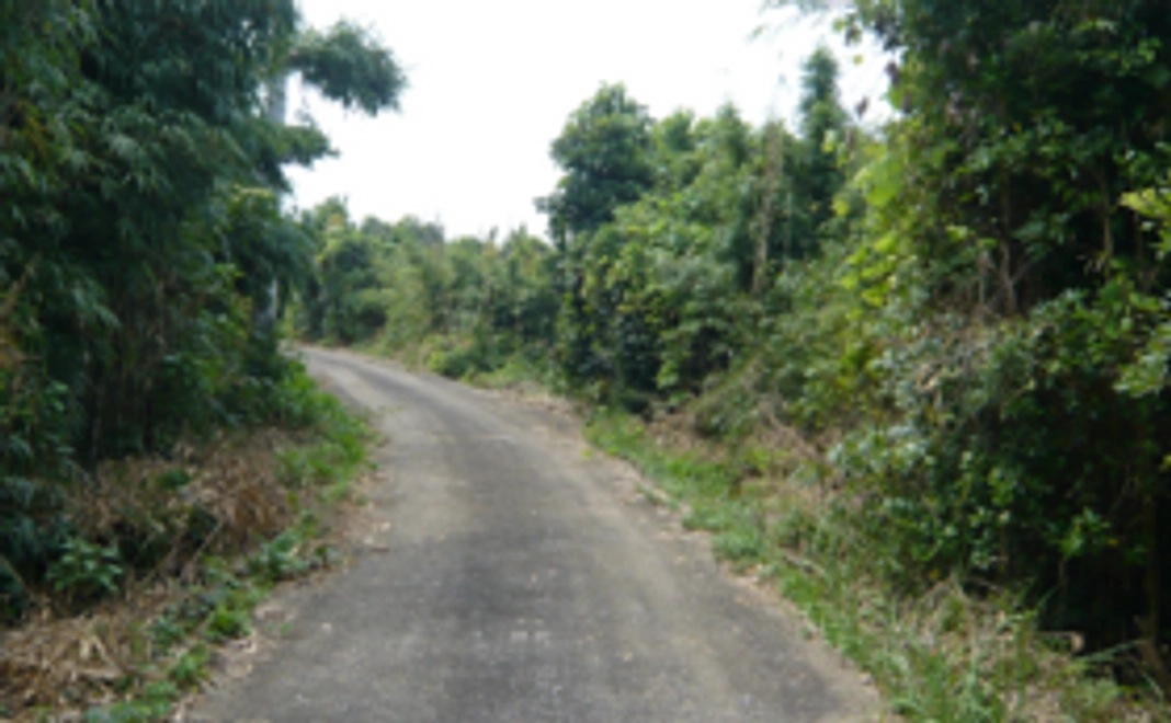 ＜プロジェクト応援コース＞