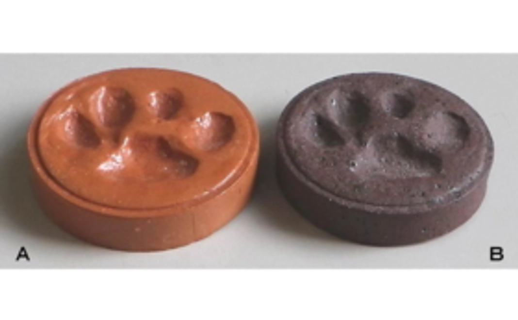 活動応援   ペーパーウェイト（2）