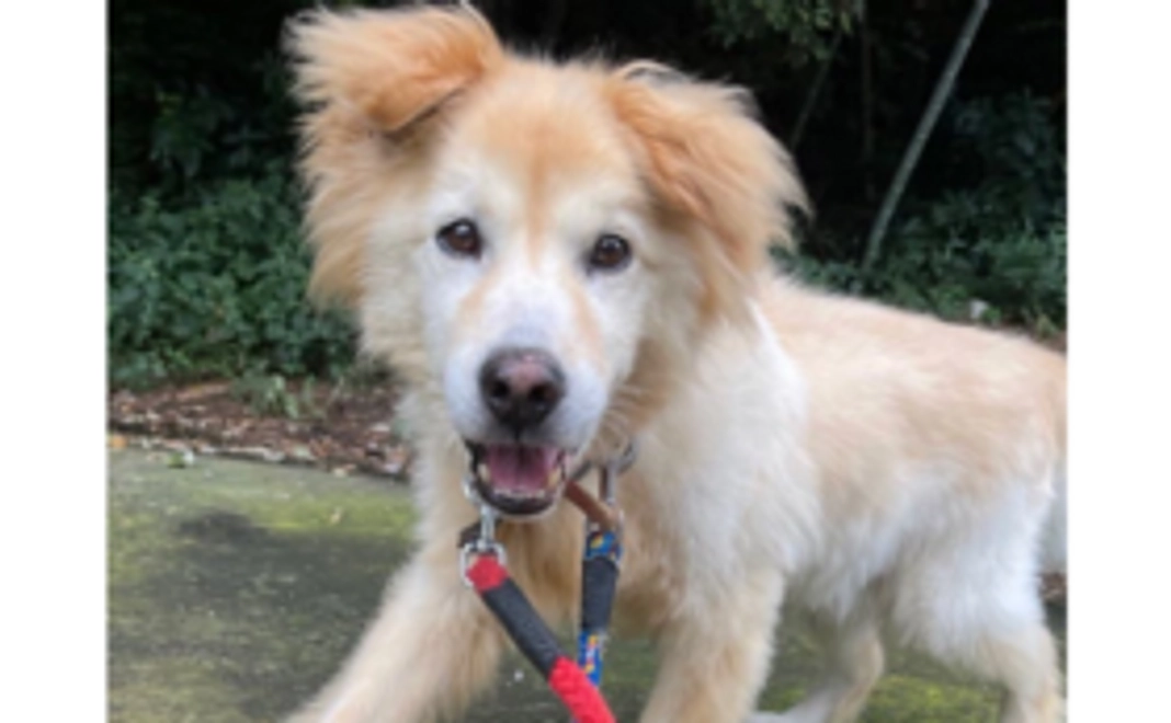 お気持ち支援｜3000円