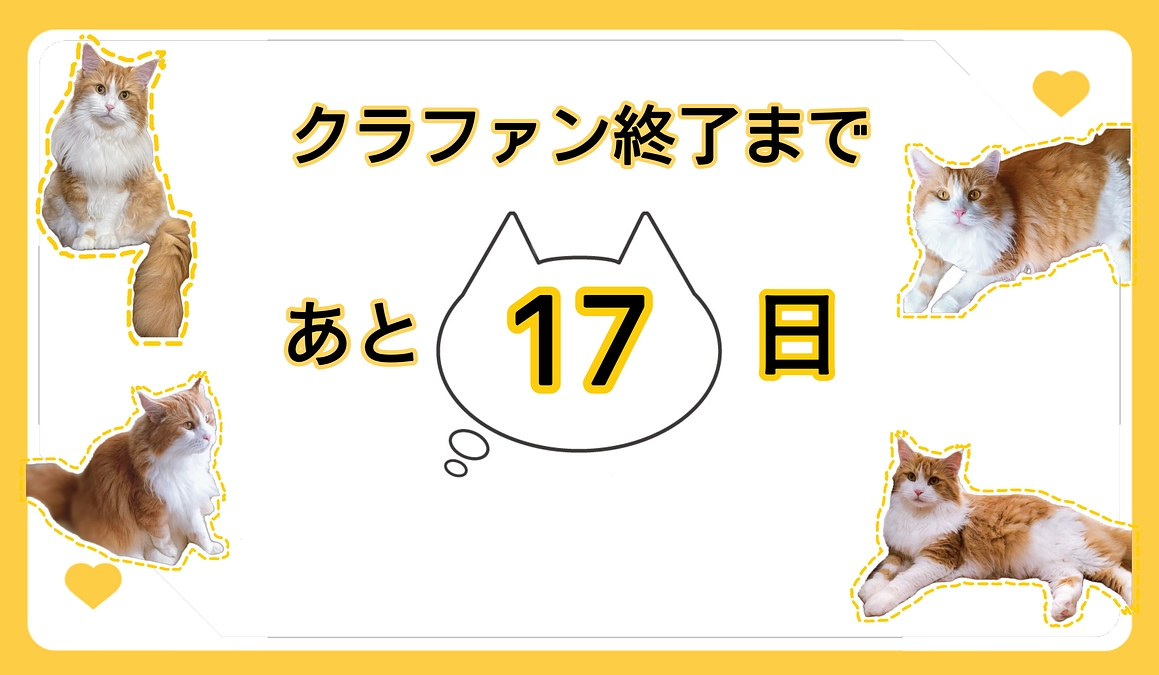 クラファン終了まで残り17日